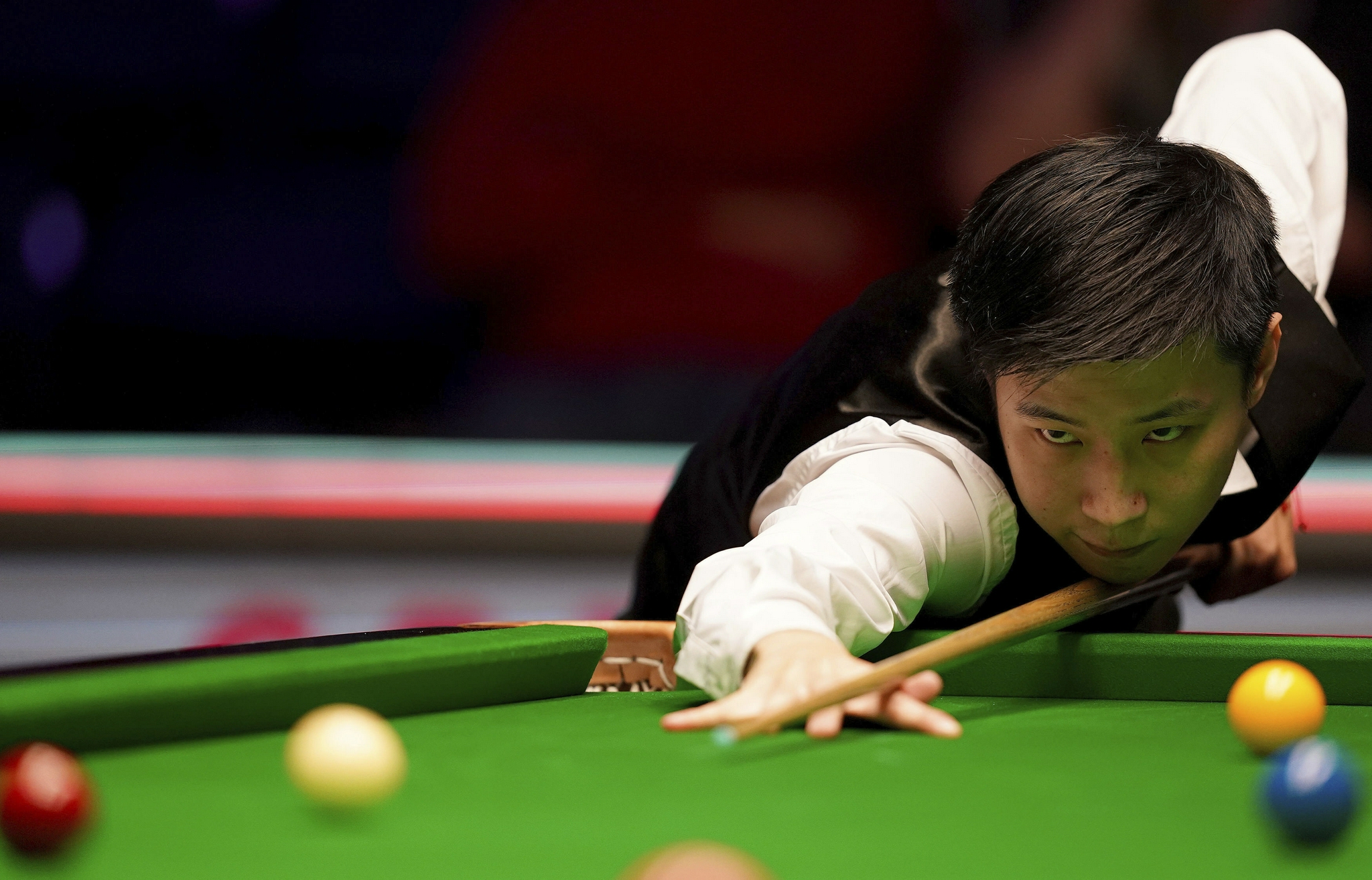 成鲜明对比 成鲜明对比