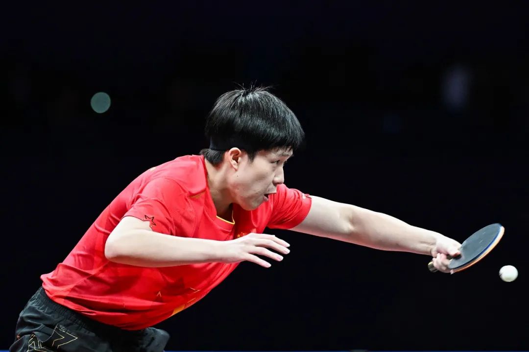 共同成长的 共同成长的