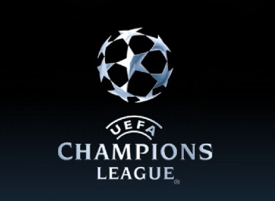 马的成长曲 马的成长曲