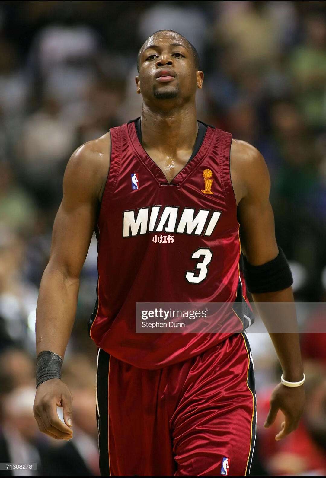 后位可以看 后位可以看